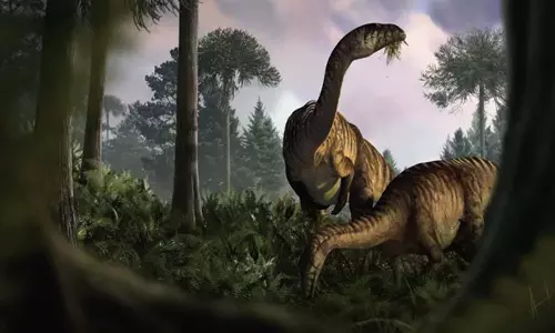 Dinosaur की उल्टी और मल से पता चलता है कि उन्होंने दुनिया पर कैसे कब्ज़ा किया Dinosaur की उल्टी और मल से पता चलता है कि उन्होंने दुनिया पर कैसे कब्ज़ा किया