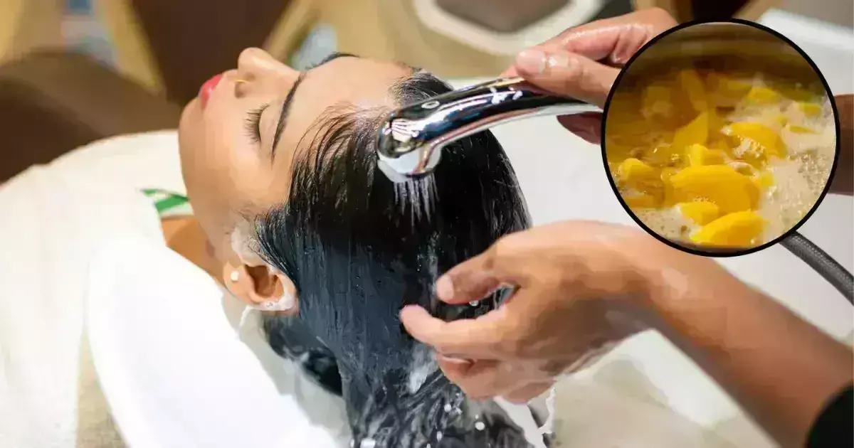 Lifestyle: नेचुरल चीजों से धोना चाहती हैं अपने बाल, तो यह ऑप्शन हैं बेस्ट Lifestyle: नेचुरल चीजों से धोना चाहती हैं अपने बाल, तो यह ऑप्शन हैं बेस्ट