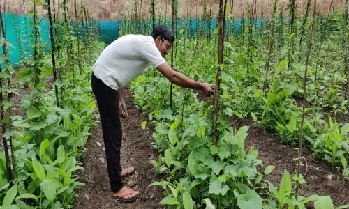 Himachal: राजस्व, बागवानी परियोजनाओं की समीक्षा की गई