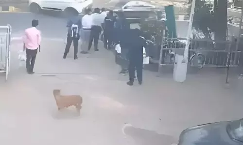 Ahmedabad: नशे में धुत ऑडी चालक ने कई वाहनों को मारी  टक्कर, गिरफ्तार, वीडियो