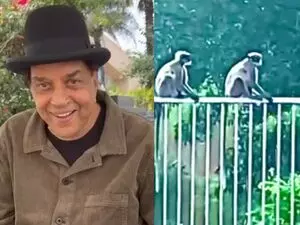 गिलहरी और मोर के बाद, Dharmendra के घर एक नया मेहमान आया