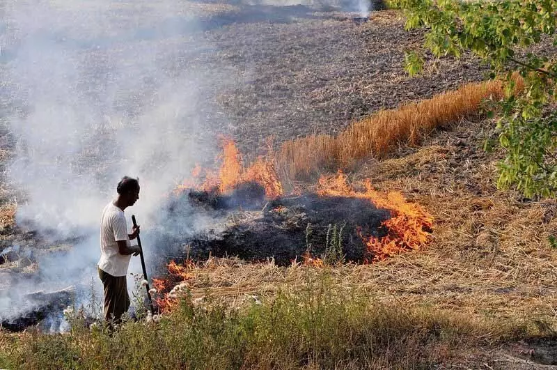 Jalandhar: पराली जलाने की 154 घटनाएं दर्ज, AQI खराब