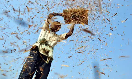 Telangana: निजामाबाद के किसानों को नुकसान, धान की मात्रा का उल्लेख नहीं Telangana: निजामाबाद के किसानों को नुकसान, धान की मात्रा का उल्लेख नहीं