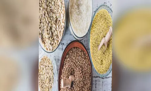 सर्दियों के इन सुपरफूड्स में है गुण हजार, बीमारियों से रहेंगे कोसो दूर, पेट भी कहेगा धन्यवाद