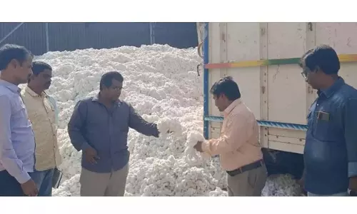 Andhra: कपास किसान चाहते हैं अधिक क्रय केंद्र Andhra: कपास किसान चाहते हैं अधिक क्रय केंद्र