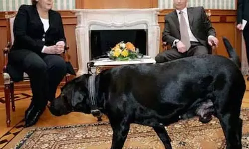 Putin ने जानबूझकर मर्केल को कुत्ते से डराने से किया इनकार