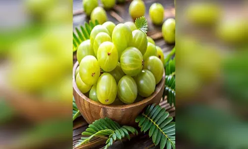 आंवले में छुपा है गुणों का खजाना, सेहत के लिए है बेहद फायदेमंद