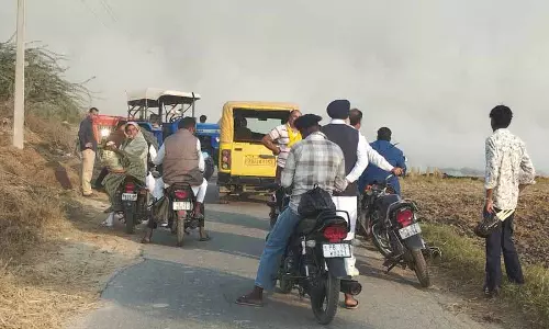 Fazilka में धुंध का कहर, किसान लगातार जला रहे पराली