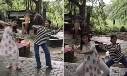 VIDEO: लड़कियां कर रही थी भरतनाट्यम, तभी हाथी भी साथ में धुन पर लगा थिरकने
