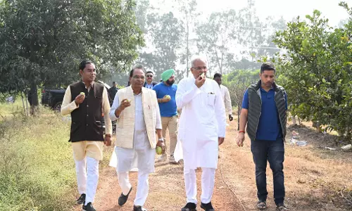भूपेश बघेल ने अपनी बाड़ी में अमरूद फल का लिया आनंद भूपेश बघेल ने अपनी बाड़ी में अमरूद फल का लिया आनंद