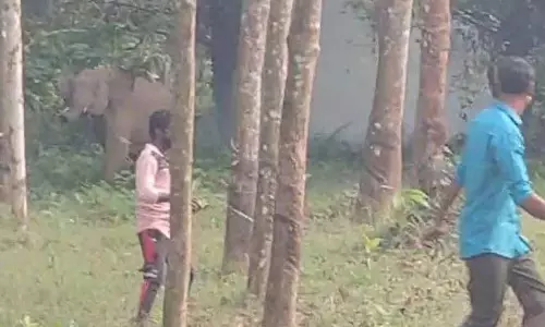 Kerala :  कोठामंगलम के घने जंगल में लापता हुई तीन महिलाएं बरामद