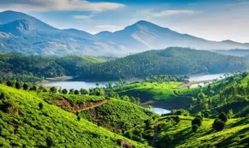 पर्यावरणविदों ने Goa के गांवों को पारिस्थितिकी संवेदनशील सूची से हटाने के प्रयास का विरोध किया