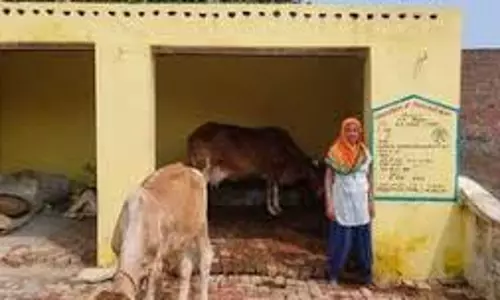 Pratapgarh: मकान, झोपड़ी व पशु बाड़ा की आर्थिक सहायता की प्रशासनिक स्वीकृति जारी Pratapgarh: मकान, झोपड़ी व पशु बाड़ा की आर्थिक सहायता की प्रशासनिक स्वीकृति जारी