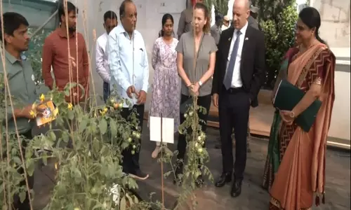 भारत में Israeli राजदूत ने तेलंगाना में सब्जियों और फूलों के उत्कृष्टता केंद्र का किया दौरा भारत में Israeli राजदूत ने तेलंगाना में सब्जियों और फूलों के उत्कृष्टता केंद्र का किया दौरा