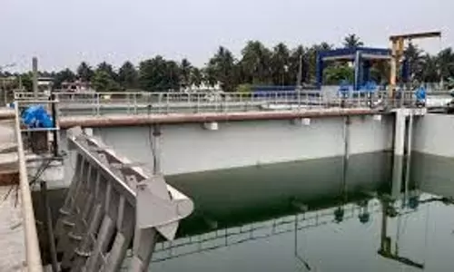 कोलवा क्रीक प्रदूषण मामले पर GSPCB का हाईकोर्ट में हलफनामा जांच के दायरे में