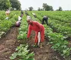 किसानों से PAU के पोषण उद्यान मॉडल को अपनाने का आग्रह