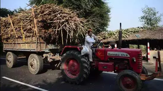 Maharashtra में गन्ना पेराई सत्र ने पकड़ी गति