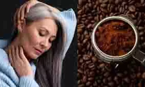 Hair Care: मेहंदी में मिलाएं ये 10 रुपये वाली चीज, बाल हो जाएंगे प्राकृतिक रूप से काले और चमकदार Hair Care: मेहंदी में मिलाएं ये 10 रुपये वाली चीज, बाल हो जाएंगे प्राकृतिक रूप से काले और चमकदार