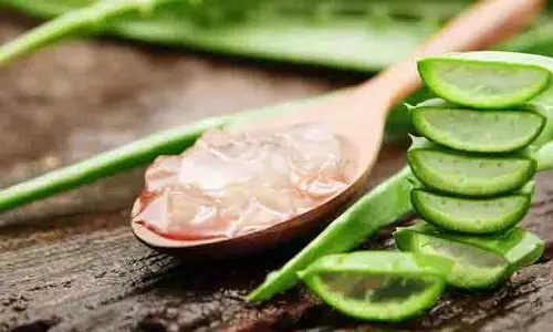 Skin care: शुष्क और झुर्रियों वाली त्वचा से छुटकारा दिलाने में मदद करेगा ओट्स Skin care: शुष्क और झुर्रियों वाली त्वचा से छुटकारा दिलाने में मदद करेगा ओट्स
