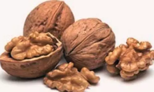 स्वस्थ दिल और दिमाग के लिए रामबाण है मस्तिष्क जैसा दिखने वाला यह ड्राई फ्रूट
