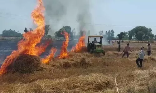Punjab: खेतों में आग लगने की कुल घटनाओं में से 73% नवंबर में दर्ज की Punjab: खेतों में आग लगने की कुल घटनाओं में से 73% नवंबर में दर्ज की