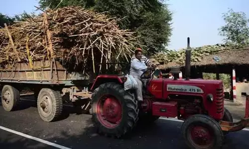 Maharashtra में गन्ना पेराई सत्र ने पकड़ी गति