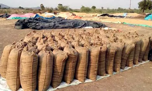 Odisha में धान की अवैध आवक को रोकने के लिए विशेष टीमें तैनात कीं Odisha में धान की अवैध आवक को रोकने के लिए विशेष टीमें तैनात कीं