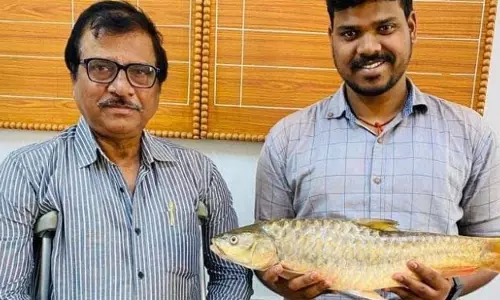 दक्षिणी ओडिशा में पहली बार दो नई माहशीर प्रजातियां पाई गईं