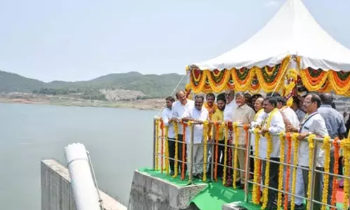 Andhra Pradesh Minister: पोलावरम परियोजना की ऊंचाई पर कोई समझौता नहीं