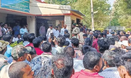 Telangana के कागजनगर में बाघ के हमले में 21 वर्षीय महिला की मौत