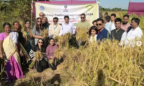 Assam : डिब्रूगढ़ में साली फसल कटाई कार्यक्रम का आयोजन किया