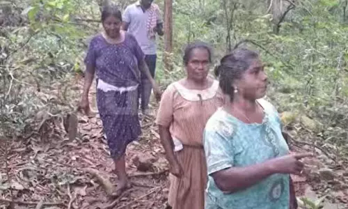 Kerala : पेड़ के तने में छिप गई हाथी से सामना होने के बाद जंगल में 14 घंटे तक कष्टदायी स्थिति में रहीं Kerala : पेड़ के तने में छिप गई हाथी से सामना होने के बाद जंगल में 14 घंटे तक कष्टदायी स्थिति में रहीं