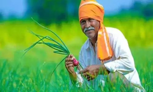 Telangana सरकार ने 3 लाख किसानों के लिए ऋण माफी की घोषणा की Telangana सरकार ने 3 लाख किसानों के लिए ऋण माफी की घोषणा की