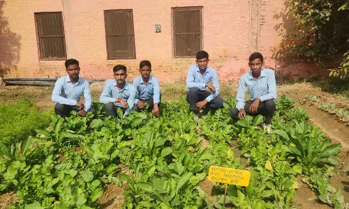 Ganganagar: जैविक खेती में अग्रणी राजकीय उच्च माध्यमिक विद्यालय मुकलावा