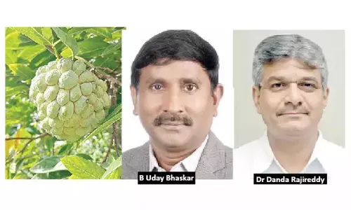 Telangana :  बालानगर कस्टर्ड एप्पल के लिए जीआई टैग प्राप्त करने की पूरी तैयारी