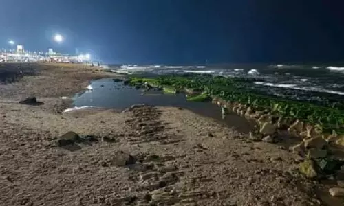 अमावस्या पर तिरुचेंदूर में भक्तो ने किया स्नान: अचानक, 100 फुट की हरी भूलभुलैया