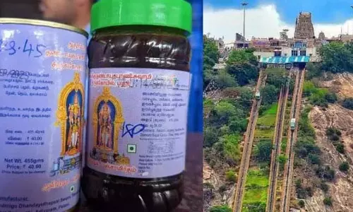 Palani: पतत्या क्लबं पलानि पंचामृतम्..करोड़ों आय: कितनी बिक्री हुई?