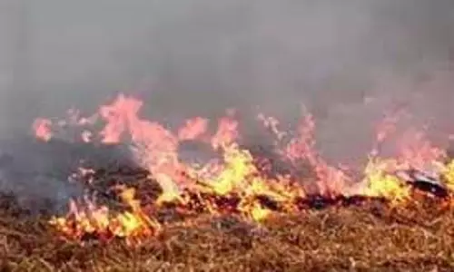 Agriculture मंत्री का कहना, खेतों में आग लगाने की घटनाओं में 70% की आई कमी Agriculture मंत्री का कहना, खेतों में आग लगाने की घटनाओं में 70% की आई कमी