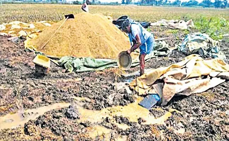 भीगे गए अनाज के ढेर: उनकी मेहनत उनकी आंखों के सामने भीग रही