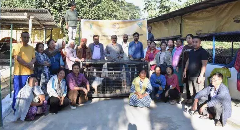 Nagaland : किसानों को ‘एकीकृत जैविक खेती’ पर प्रशिक्षित किया गया Nagaland : किसानों को ‘एकीकृत जैविक खेती’ पर प्रशिक्षित किया गया