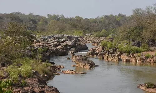 Odisha की सामुदायिक भूमि का मूल्य 36,80 करोड़ रुपये