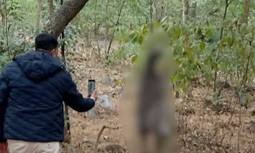 दिवाली के दिन से लापता था बुजुर्ग, जंगल में मिली लाश
