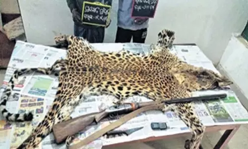 Odisha: ओडिशा वन अधिकारियों ने दो शिकारियों को गिरफ्तार किया Odisha: ओडिशा वन अधिकारियों ने दो शिकारियों को गिरफ्तार किया
