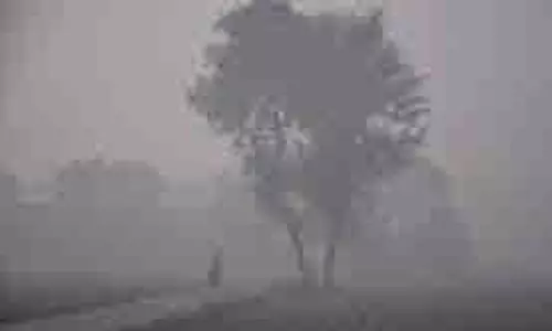 Haryana Weather:  पड़ने वाली है कड़ाके की ठंड