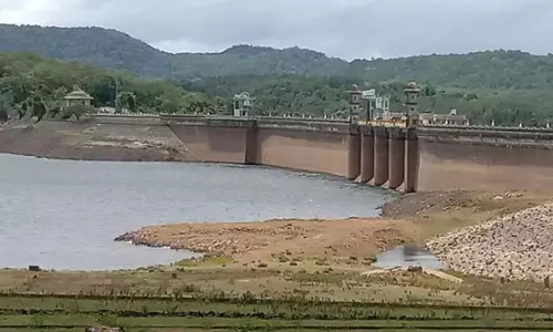 AP: रबी की जरूरतों के लिए सिलेरू के पानी पर टिकी उम्मीदें