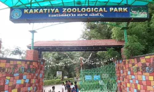 Warangal का काकतीय चिड़ियाघर बाघ के आने का इंतजार कर रहा Warangal का काकतीय चिड़ियाघर बाघ के आने का इंतजार कर रहा