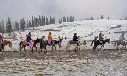 Kashmirs के पर्यटन स्थलों में ताजा बर्फबारी से रौनक लौटी