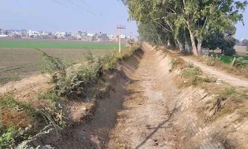 सफाई के लिए नहरें सूखीं, Muktsar, फाजिल्का के किसान परेशान