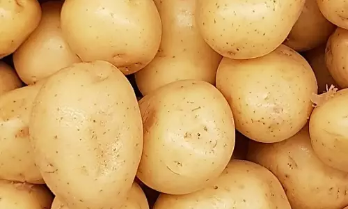 पश्चिम बंगाल ने झारखंड को आलू की आपूर्ति पर लगाई रोक, सीएम हेमंत ने मामला सुलझाने का दिया निर्देश