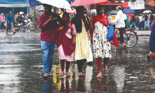 Kolkata में हल्की बारिश, कई जिलों में घने कोहरे का अलर्ट जारी